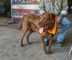 Cash at Chessie Fun Day 2026